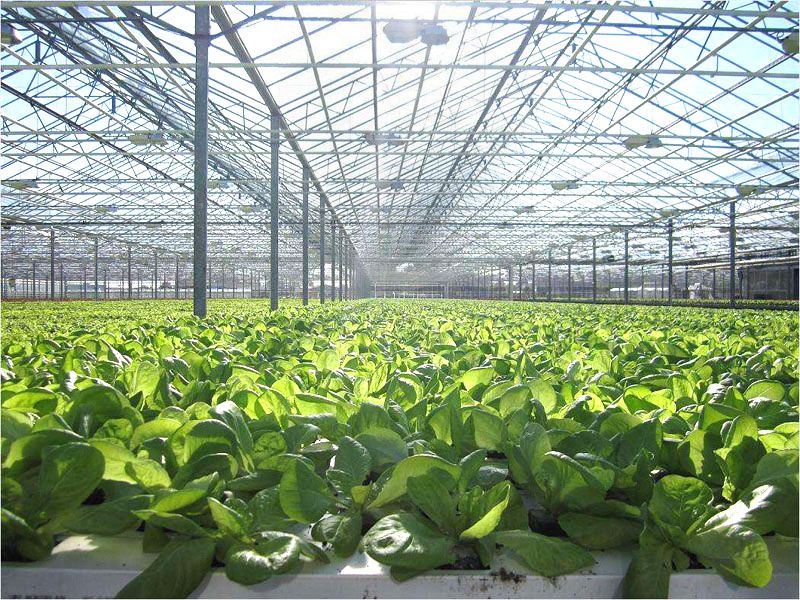 ���������c(di��n)���鿴Ԕ��(x��)��Ϣ