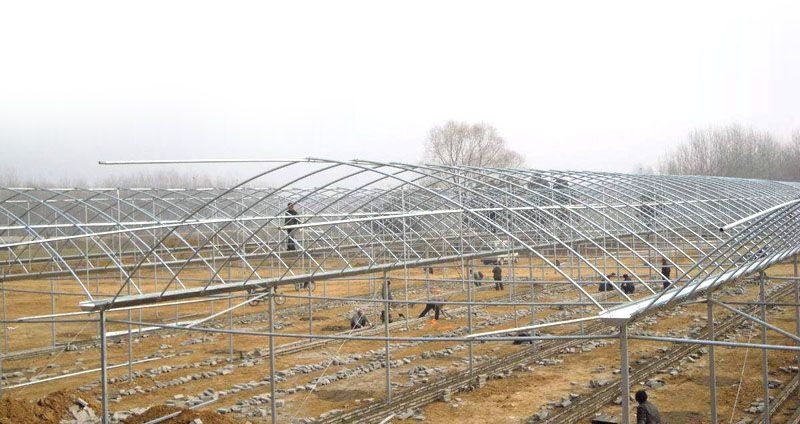 �ӱ�ʯ���f��Ĥ����