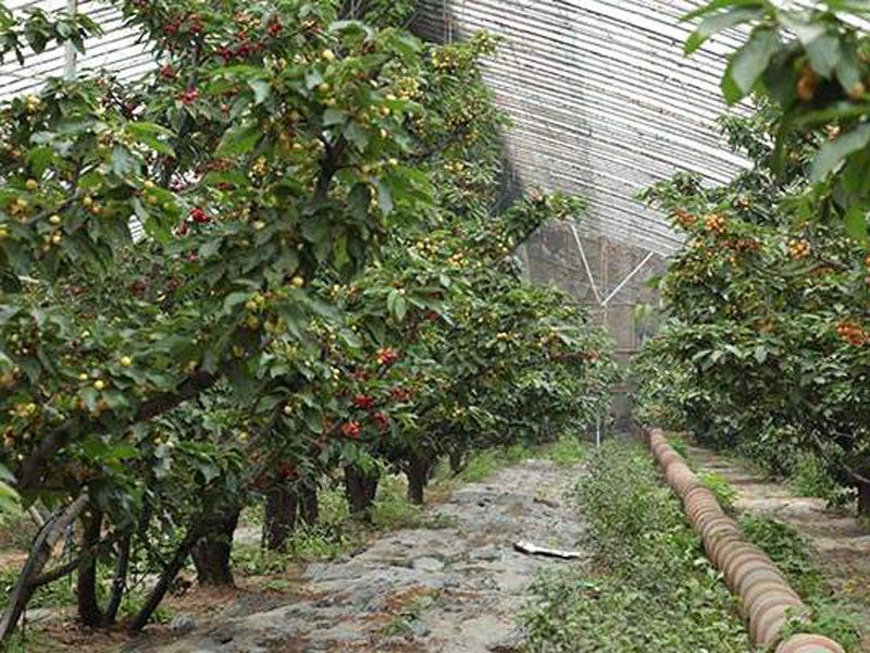 ���Ҵ����c���鿴Ԕ����Ϣ