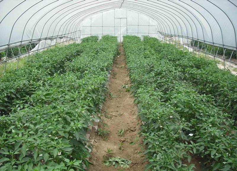 �r�I�����c���鿴Ԕ����Ϣ