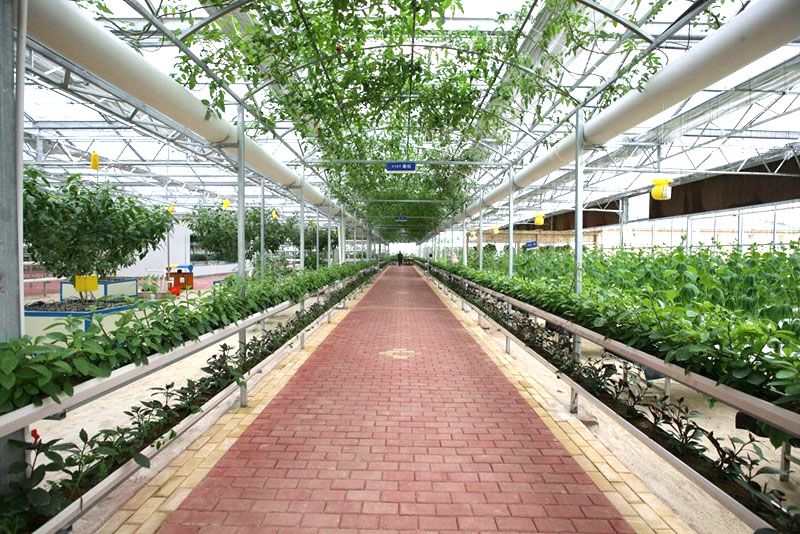 �����߲˜����c���鿴Ԕ����Ϣ