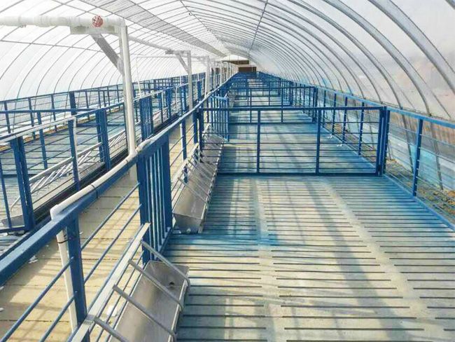 �B(y��ng)ֳ�����c(di��n)���鿴Ԕ��(x��)��Ϣ