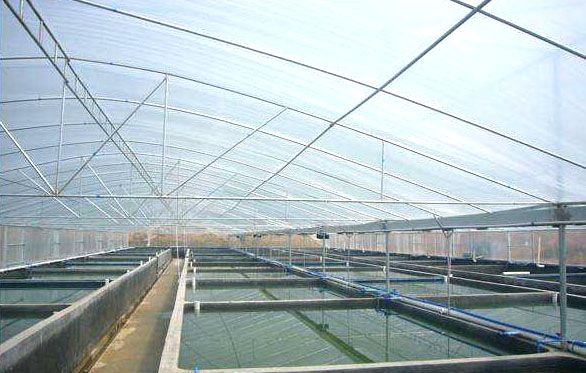 ���͜ؿ�ˮ�a(ch��n)�B(y��ng)ֳ�����c(di��n)���鿴Ԕ��(x��)��Ϣ