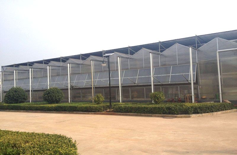 �������B�������c���鿴Ԕ����Ϣ