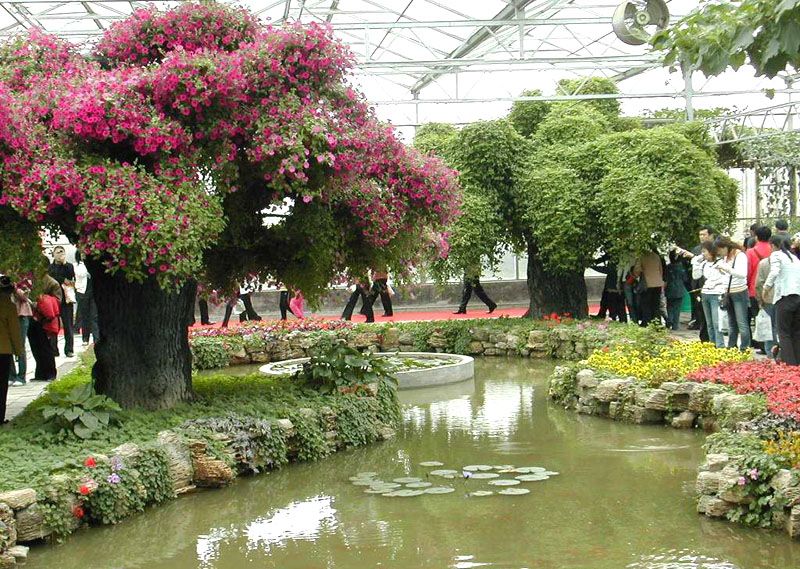 ���B�͏d�����c���鿴Ԕ����Ϣ