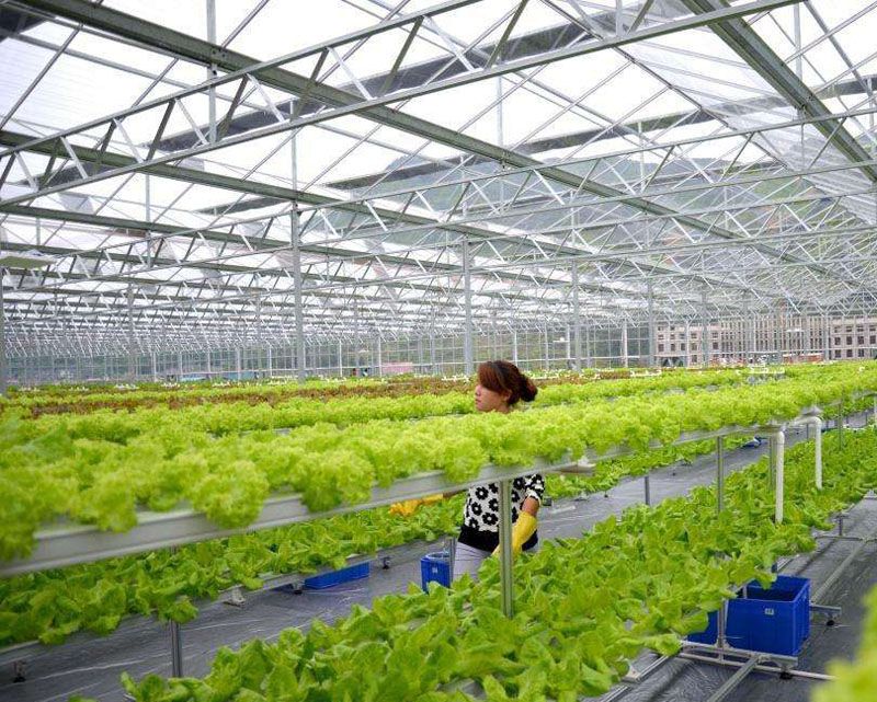 ���ܜ����c���鿴Ԕ����Ϣ