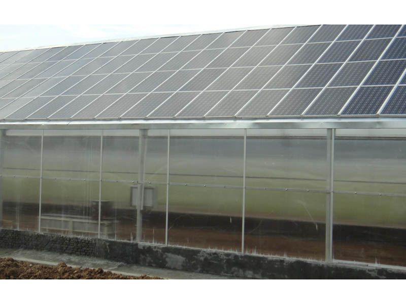 ����r�I�����c���鿴Ԕ����Ϣ