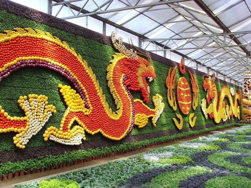 �߲ˈ@ˇ���^�c���鿴Ԕ����Ϣ