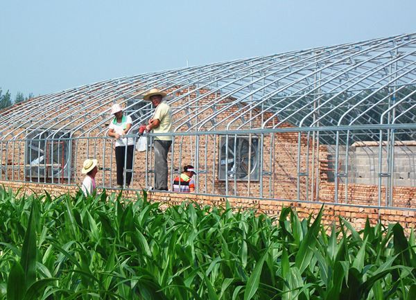 �B(y��ng)ֳ�����c(di��n)���鿴Ԕ��(x��)��Ϣ