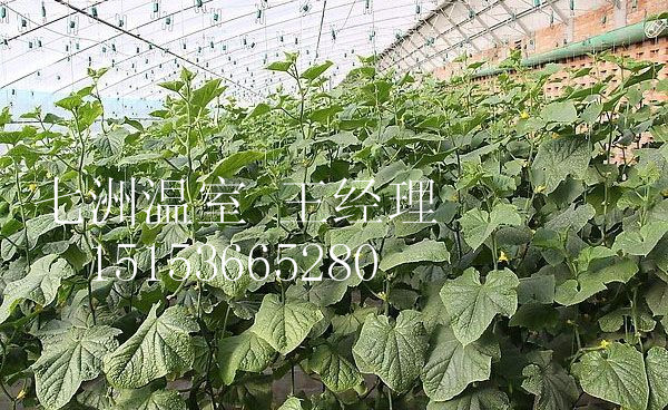 �չ�����c���鿴Ԕ����Ϣ