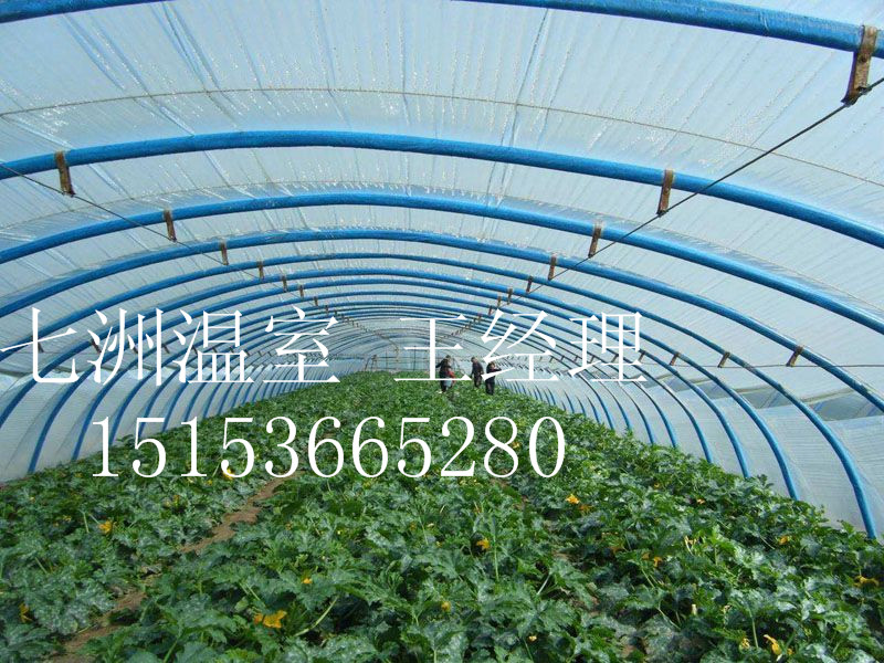 �r�I�����c���鿴Ԕ����Ϣ