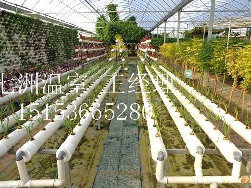 ���ܻ������c���鿴Ԕ����Ϣ