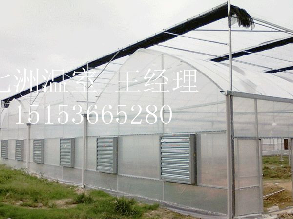 �����B�������c���鿴Ԕ����Ϣ