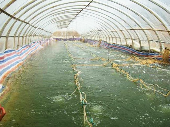 ���͜ؿ�ˮ�a(ch��n)�B(y��ng)ֳ�����c(di��n)���鿴Ԕ��(x��)��Ϣ