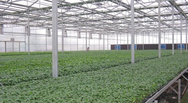 �߲ˈ@ˇ���^�c���鿴Ԕ����Ϣ