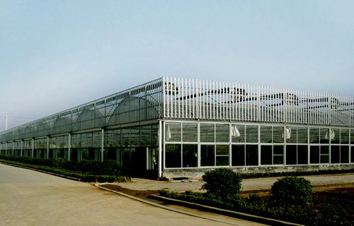 ��������c���鿴Ԕ����Ϣ