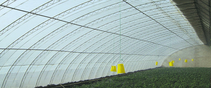 �չ�����c���鿴Ԕ����Ϣ