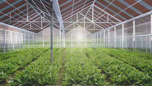 �r�I�����c���鿴Ԕ����Ϣ