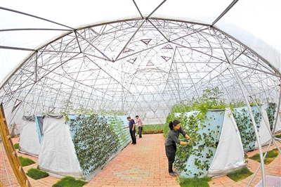 �B�������c���鿴Ԕ����Ϣ