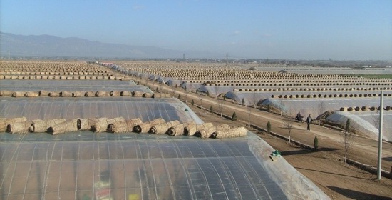 �չ����R-1�c���鿴Ԕ����Ϣ