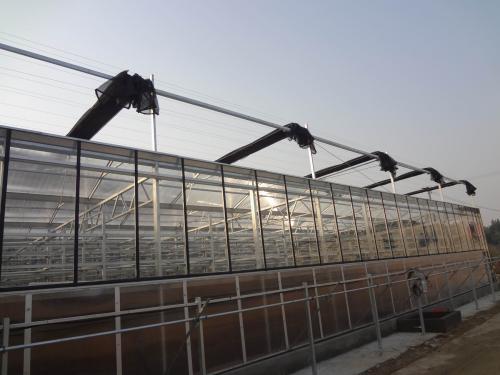 ���������c���鿴Ԕ����Ϣ