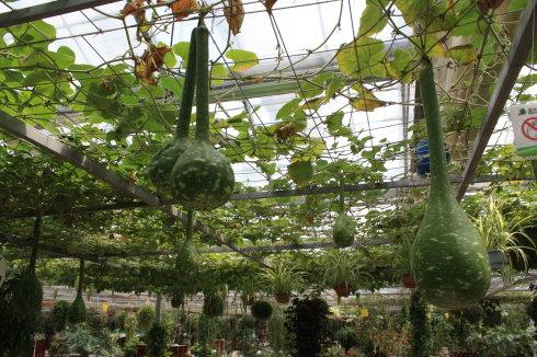 �߲ˈ@ˇ���^�c���鿴Ԕ��(x��)��Ϣ