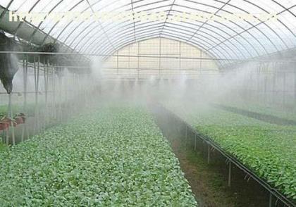 �r�I�����c���鿴Ԕ����Ϣ