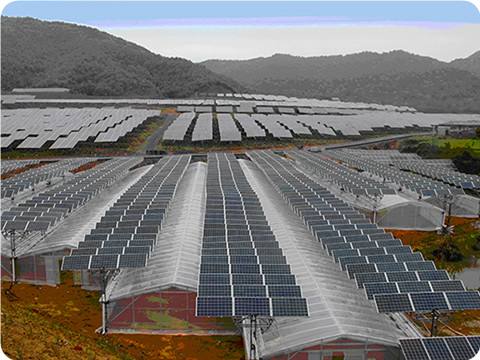 ����r�I�����c���鿴Ԕ����Ϣ