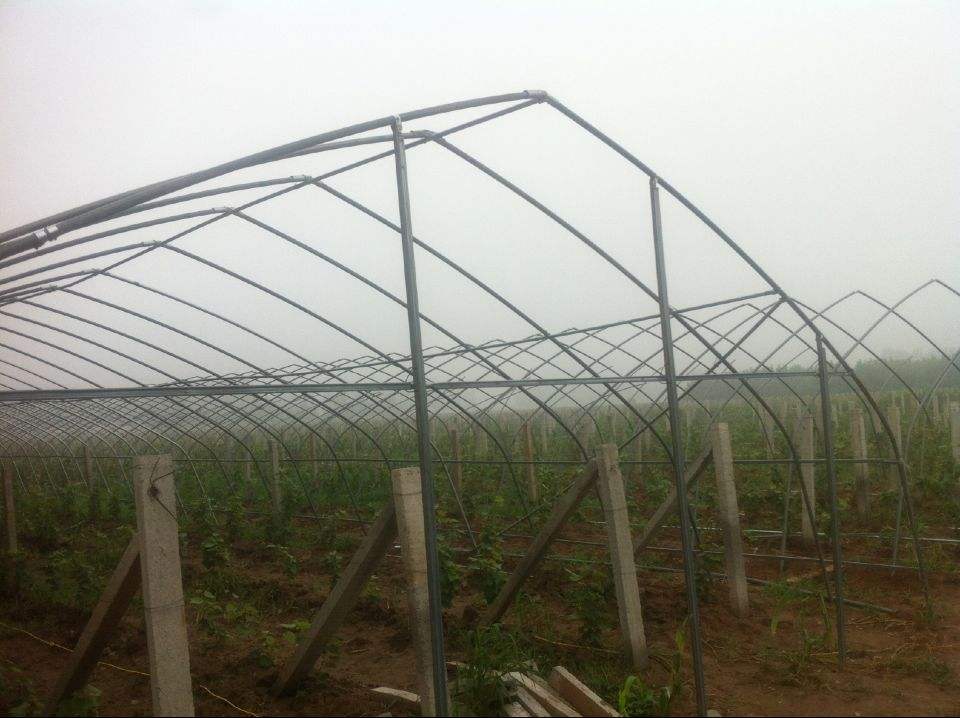 �r�I�����c���鿴Ԕ����Ϣ