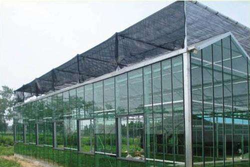 �������Ҵ����c���鿴Ԕ����Ϣ