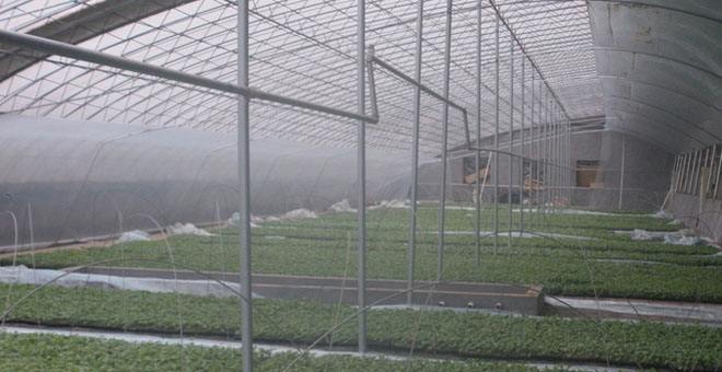 �չ�����c���鿴Ԕ����Ϣ