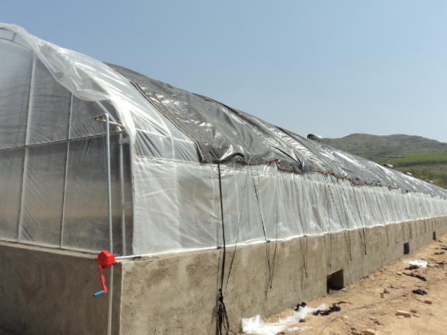 �Bֳ�����c���鿴Ԕ����Ϣ